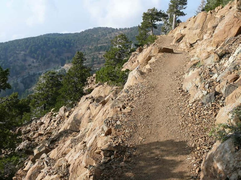 Troodos walking trip - Key highlights to look for on this Troodos walking trip