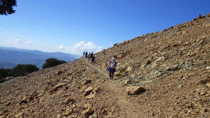 Troodos walking trip - Artemis Trail (8 km, flat and easy): high country views and mountain plants