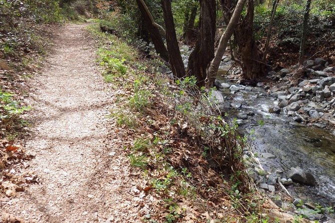 Troodos Walking Trip (Artemis+/Myllomeris Waterfalls) - Should you book Artemis and Millomeris?