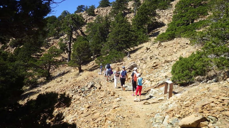 Troodos walking trip - Troodos in one day: altitude that changes the whole hike