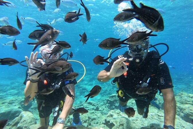 Try a Scuba Diving Experience - Pickup, Getting There, and Using the Map If You Drive