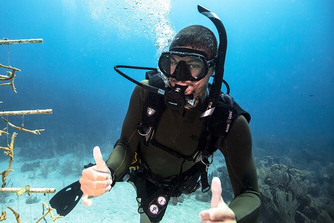 Try Dive - Scuba Diving with a private guide, incl. photos - Key highlights you will notice right away