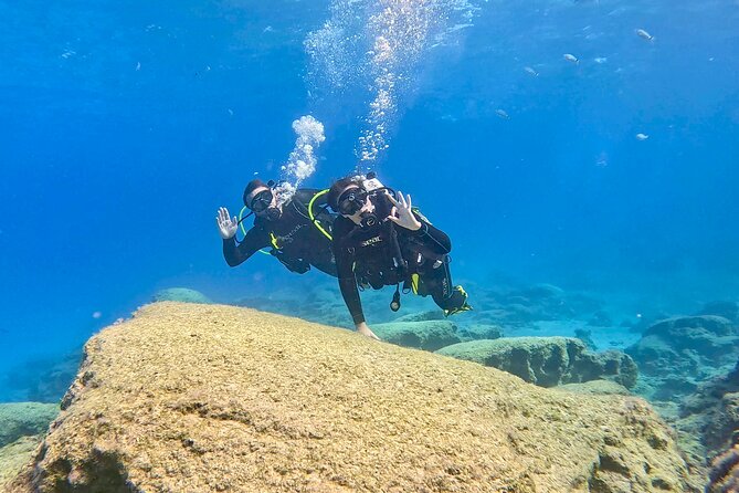Try Dive - Scuba Diving with a private guide, incl. photos - The 2-hour flow: what happens once you show up