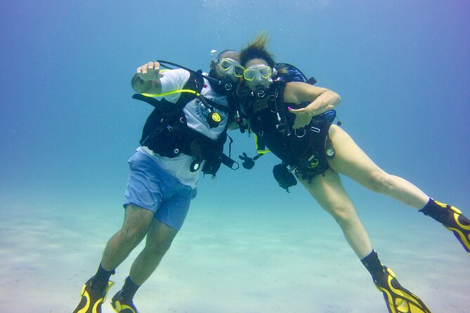 Try Dive - Scuba Diving with a private guide, incl. photos - What you can realistically spot: fish, turtles, and maybe more