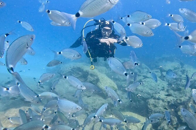 Try Dive - Scuba Diving with a private guide, incl. photos - Green Bay’s “easy” advantage for families and older visitors