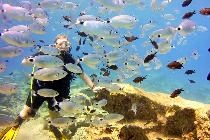 Try Dive - Scuba Diving with a private guide, incl. photos - Larnaca pickup and a simple morning plan