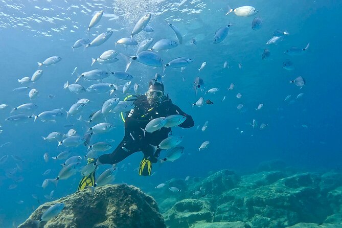Try Dive - Scuba Diving with a private guide, incl. photos - Price and value: what $150.44 per person buys you here