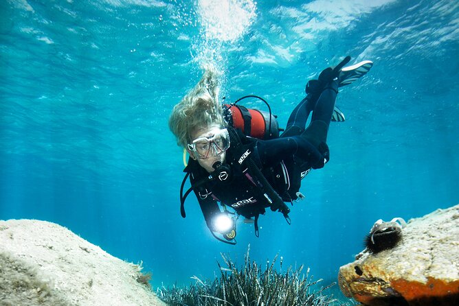 Try Dive - Scuba Diving with a private guide, incl. photos - Private guide coaching that keeps you from feeling rushed