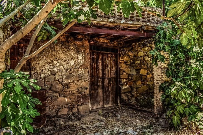 Turkish Landmarks in Old Town Nicosia – Private Walking Tour - Ermou Street and A. G. Leventis Gallery: where art meets street life