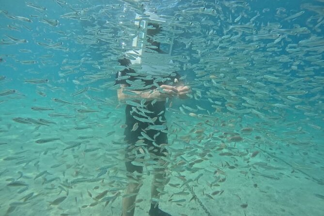 Undersea Helmets - Key things that make this tour worth your time