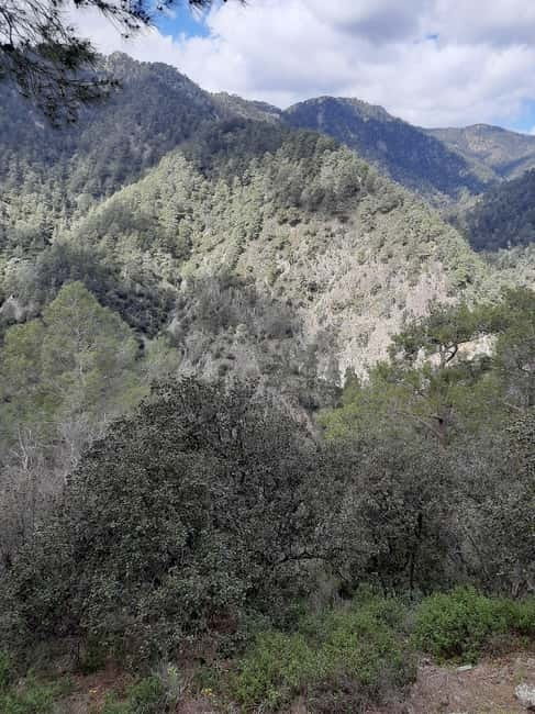 Unforgettable day on safari from Paphos to the Troodos Mountains - From Paphos Hotel Pick-Up to Troodos in One Long Day