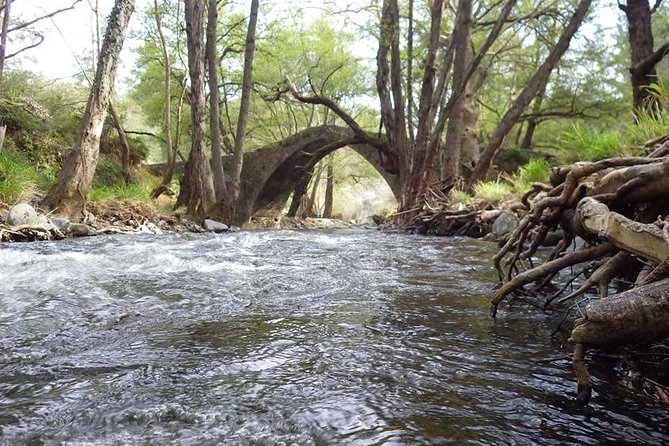 Walk in Omodos alleys & around Kelephos medieval Venetian bridge - Private tour logistics from Limassol: flexible timing, guided pacing, and small-group comfort