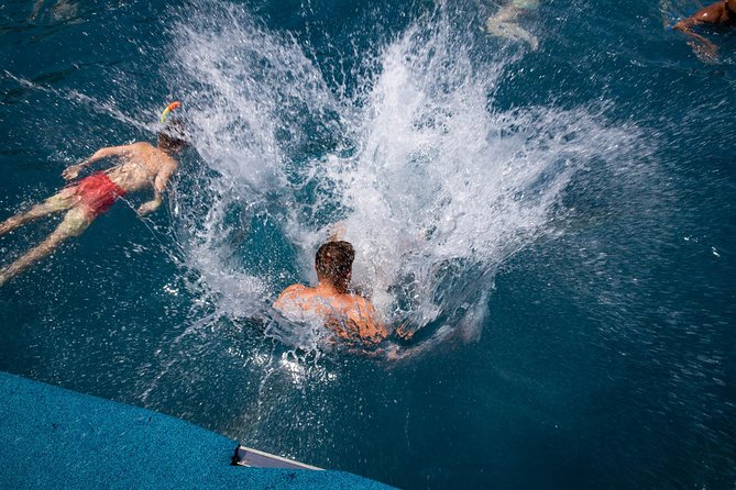 Wave Dancer Sunshine Full Day Cruise - All Inclusive - Getting to the harbour: transfers, timing, and the easiest setup