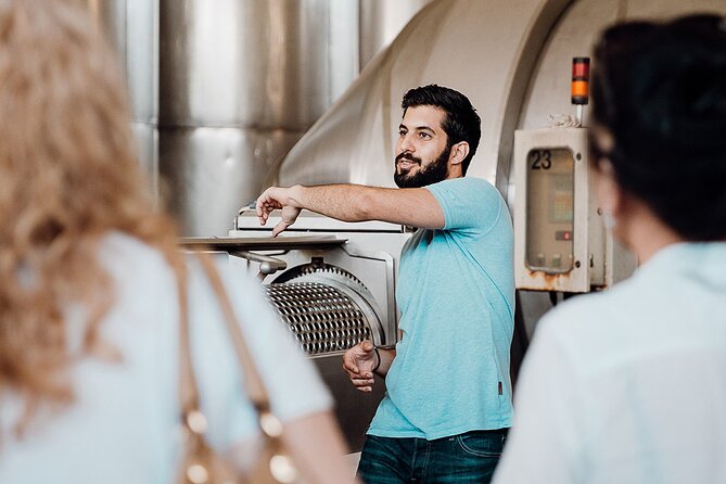 Wine tasting and winery tour at Fikardos Winery - Quick logistics you should plan for