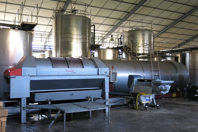 Wine tasting and winery tour at Fikardos Winery - The 6-wine tasting: cellar door vibes, guided descriptions, real choices