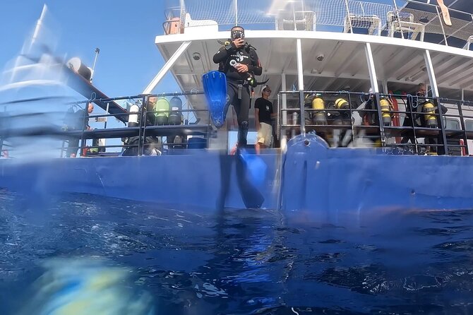 World-Class Zenobia Wreck Dive in Cyprus x 2 dives - How the Zenobia stern and bow plan actually works