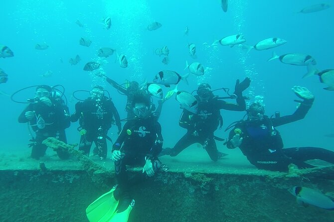 World-Class Zenobia Wreck Dive in Cyprus x 2 dives - Depth and training levels, from Open Water to technical routes