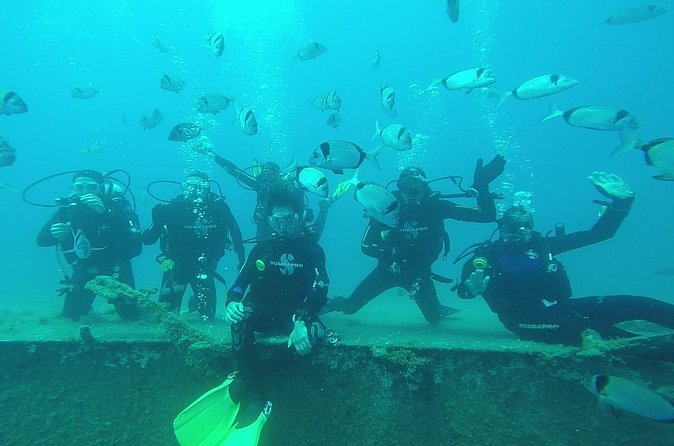 World-Class Zenobia Wreck Dive in Cyprus x 2 dives - The operation behind the day: friendly mentoring on a wreck schedule