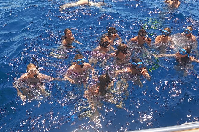 Yellow Submarine Swimming Cruise with Unlimited Drinks - Price and Value: Is $36.04 a Fair Deal?