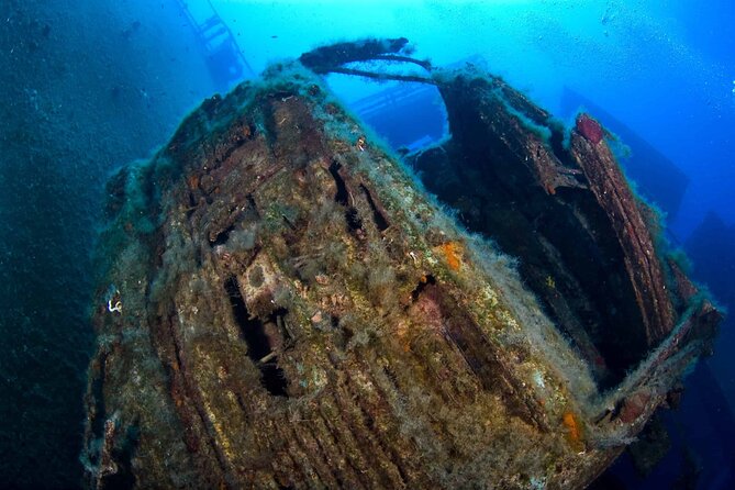 Zenobia Shipwreck Scuba Diving Trip 2x Dives - Eligibility rules: Advanced or higher, 30m capability, and recent diving